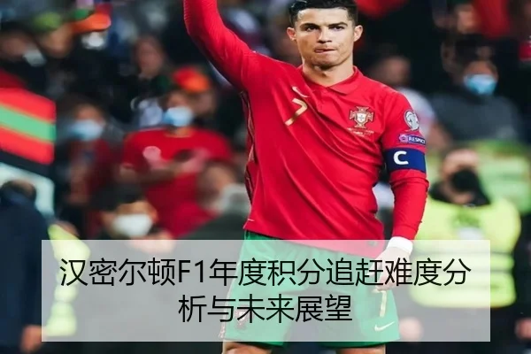 汉密尔顿F1年度积分追赶难度分析与未来展望